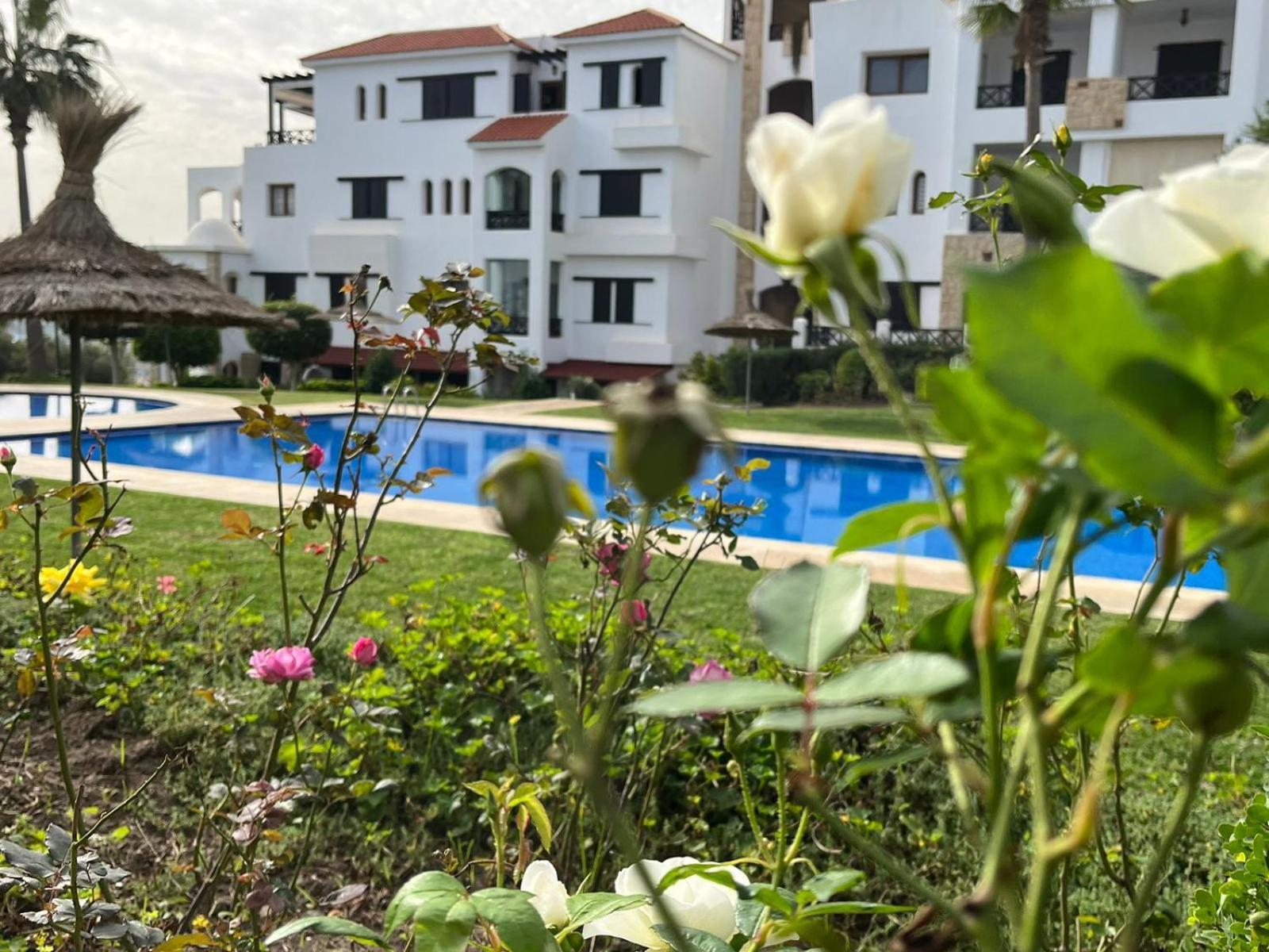 מדיק Lilac'S Garden Vue Piscine מראה חיצוני תמונה